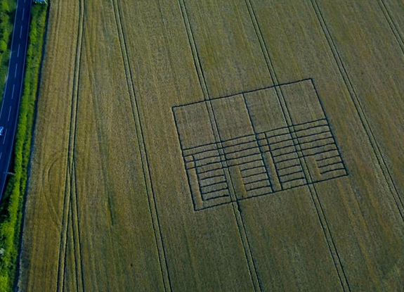 crop circle in Sixpenny Handley | June 21 2020