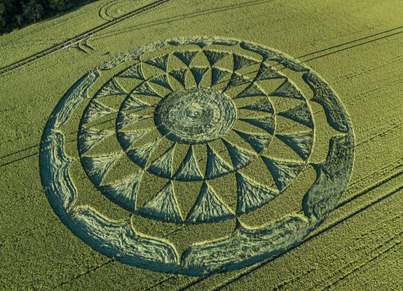 crop circle in Ogbourne St George | June 25 2020