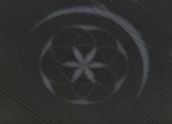 crop circle in unknown | June 25 2020