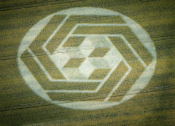 crop circle in Stanton St Bernard | July 7 2020