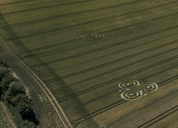 crop circle in Frome | July 12 2020