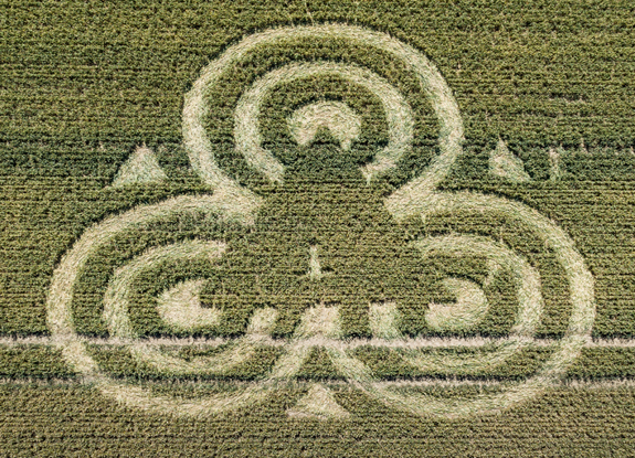 crop circle in Frome | July 12 2020