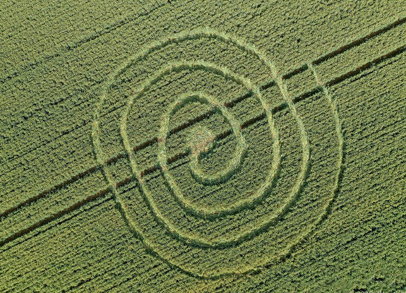 crop circle in Frome | July 12 2020