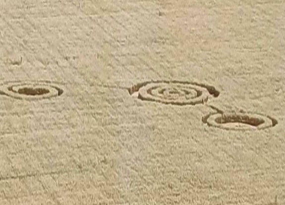 crop circle in Woronesch | July 13 2020