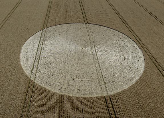 crop circle in Danebury Rings | July 21 2020