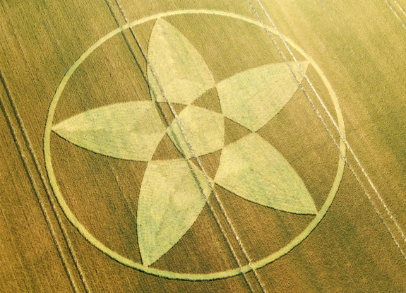 crop circle in Bishops Sutton | July 22 2020