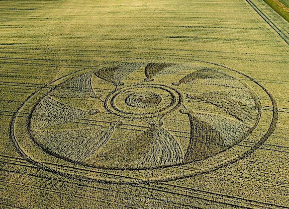 crop circle in Etchilhampton | July 26 2020