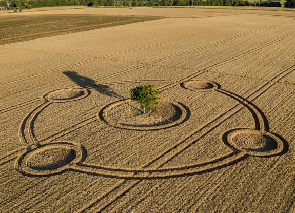 crop circle in Potterne | August 4 2020