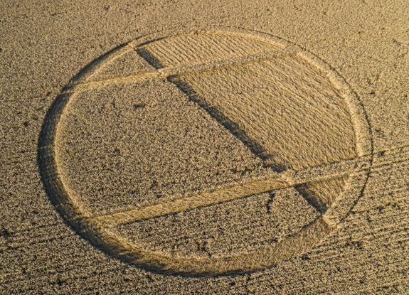 crop circle in Chirton Bottom | September 5 2020