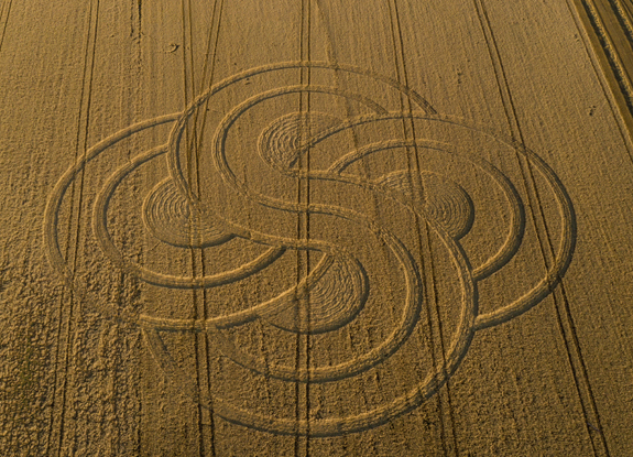 crop circle in Roundway Devizes | September 13 2020