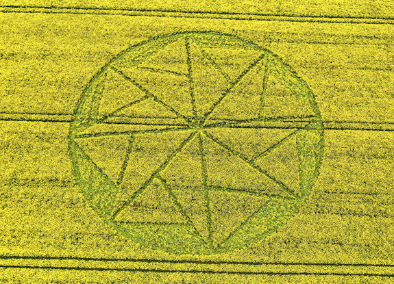 crop circle in Stanton St Bernard | May 10 2021