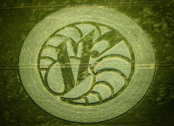 crop circle in Hackpen Hill | June 15 2021