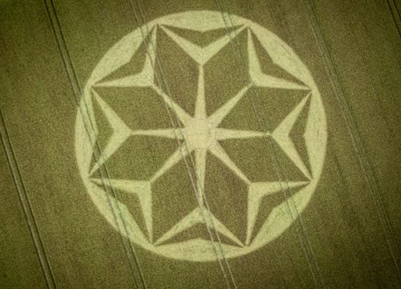 crop circle in Tichborne | June 21 2021