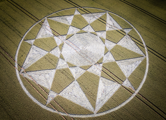 crop circle in Longwood Warren | July 4 2021