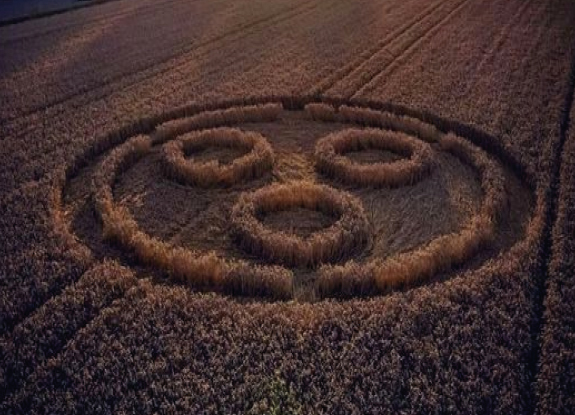 crop circle in Todwick | August 30 2021