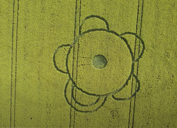 crop circle at Sixpenny Handley | April 19 2022