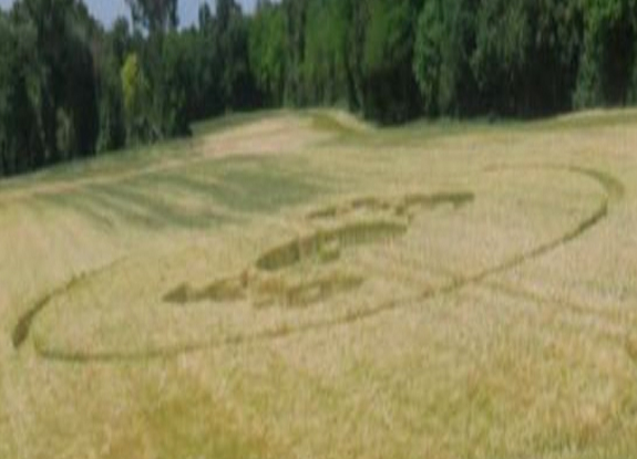 crop circle at Saint Denis en Bugey | May 31 2022