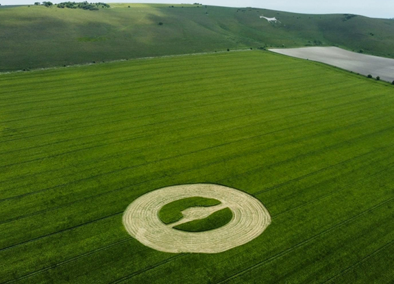 crop circle at Stanton St Bernard | June 3 2022