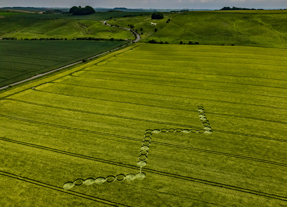 crop circle at Hackpen Hill | June 4 2022