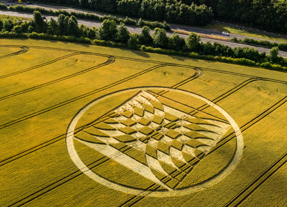 crop circle at Micheldever | July 3 2022