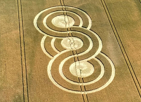 crop circle at Bishops Cannings | July 14 2022