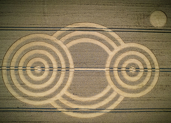 crop circle at Tawesmead Copse | July 28 2022