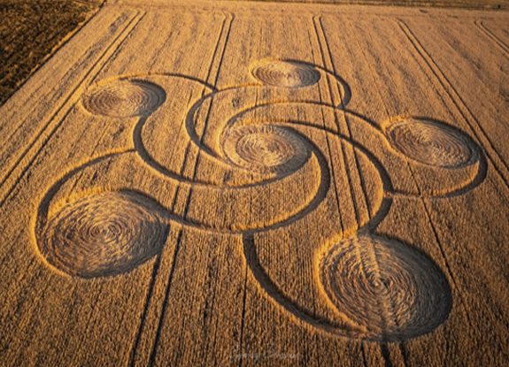 crop circle at Etchilhampton | august 8 2022