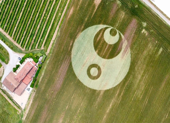 crop circle at Capriano del Colle | may 30 2023