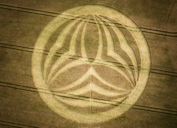 crop circle at Bishopstrow | june 18 2023