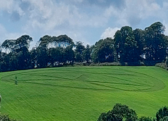 crop circle at Mevagissey | june 23 2023