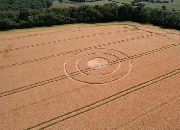 crop circle at Nympsfield | june 24 2023