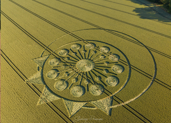 crop circle at Owlesbury | june 26 2023