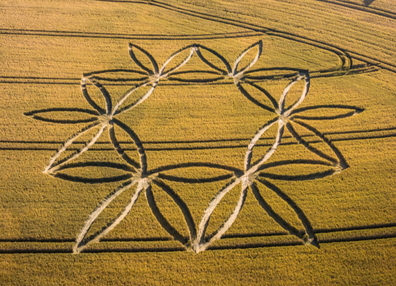 crop circle at Norton Bavant | july 7 2023