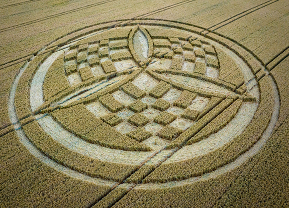 crop circle at Barton Stacey | july 9 2023