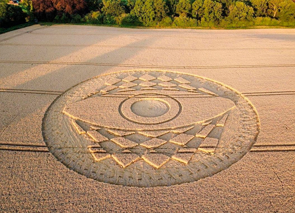 crop circle at West Meon | july 30 2023