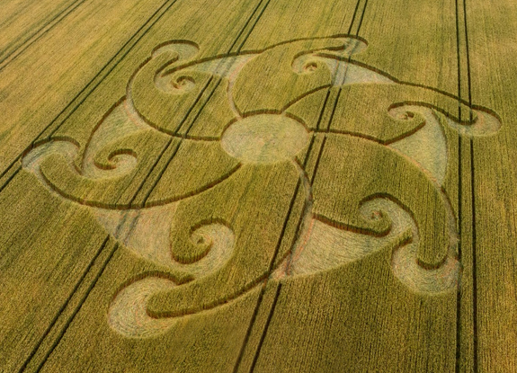 crop circle at Etchilhampton | august 8 2024