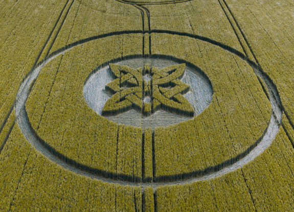 crop circle at Sutton Verny | may 15 2025