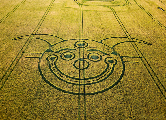 crop circle at Wilsford Shaft | june 10 2025