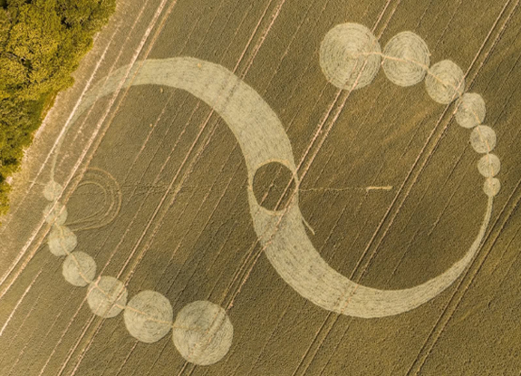 crop circle at Shaftesbury | june 23 2025