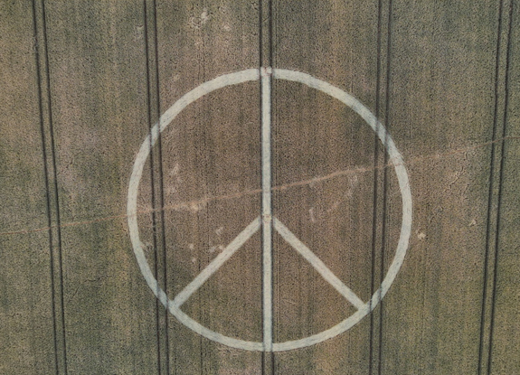 crop circle at Shepton Mallet | june 24 2025