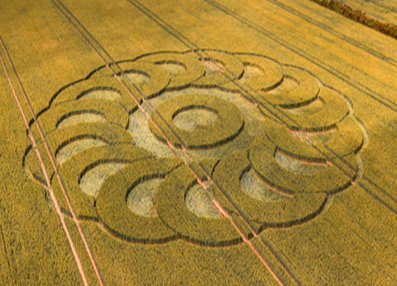 crop circle at Lime Regis | june 28 2025