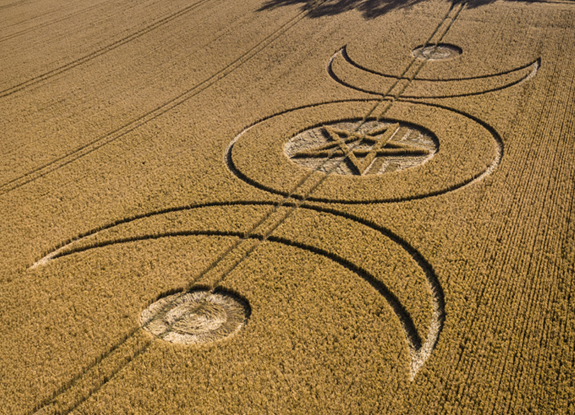 crop circle at Ludwell | july 12 2025
