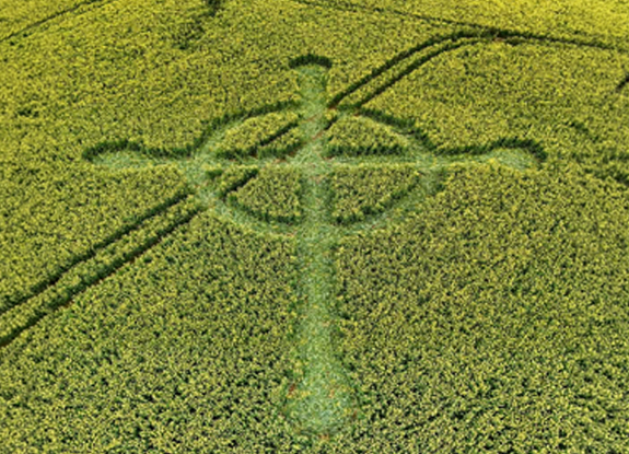 crop circle at Ilchester | april 04 2026