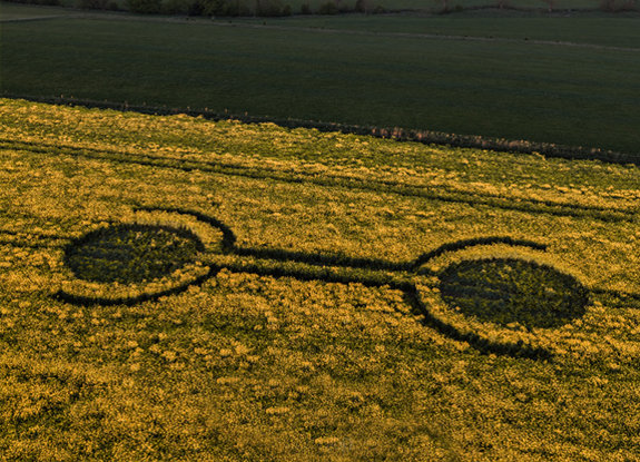crop circle at Waden Hill | april 29 2026