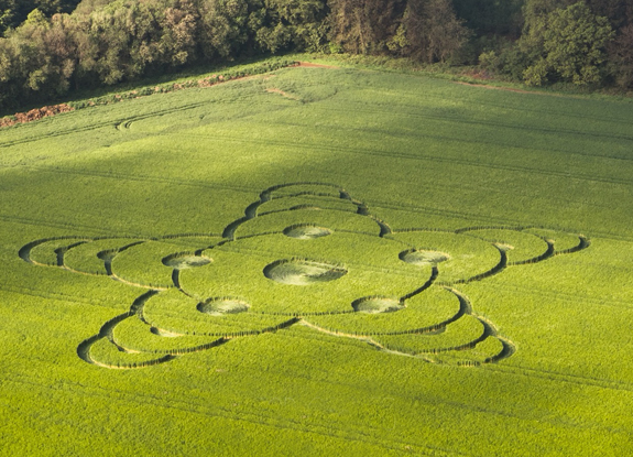 crop circle at South Brewham | may 8 2026