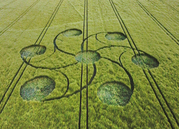 crop circle at Kingweston | may 10 2026