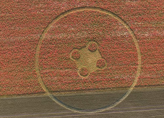 crop circle at Etchilhampton Hill | june 24 2026