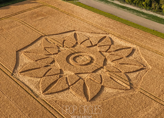 crop circle at Hackpen Hill | june 29 2026
