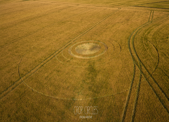 crop circle at Bishopstone | july 3 2026