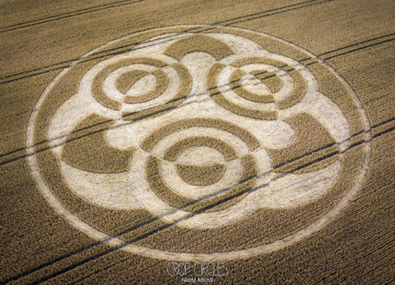 crop circle at Etchilhampton | july 4 2026
